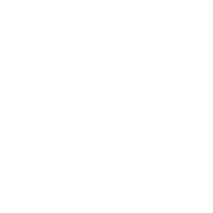 Trainfog